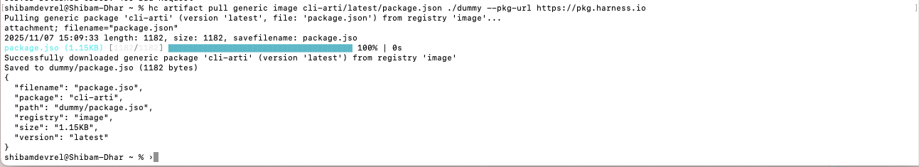 Pull Generic Artifact